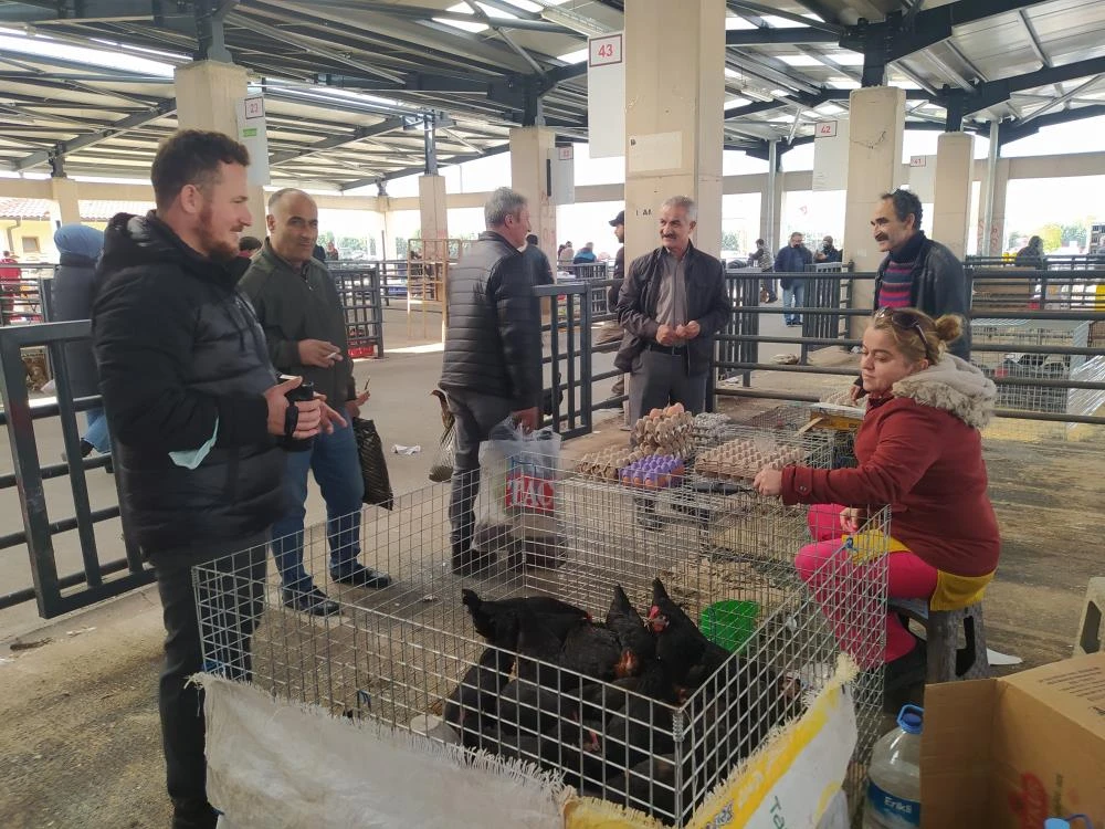 Markette 50 lira pazarda 10 lira: Köy tavuğu satışları patladı