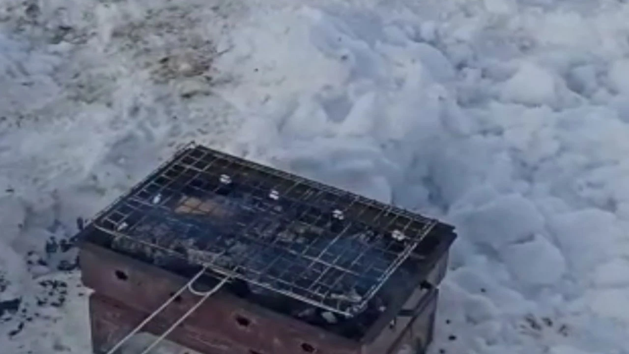 Elazığ'da iki kardeş mangalı drone ile yaktı