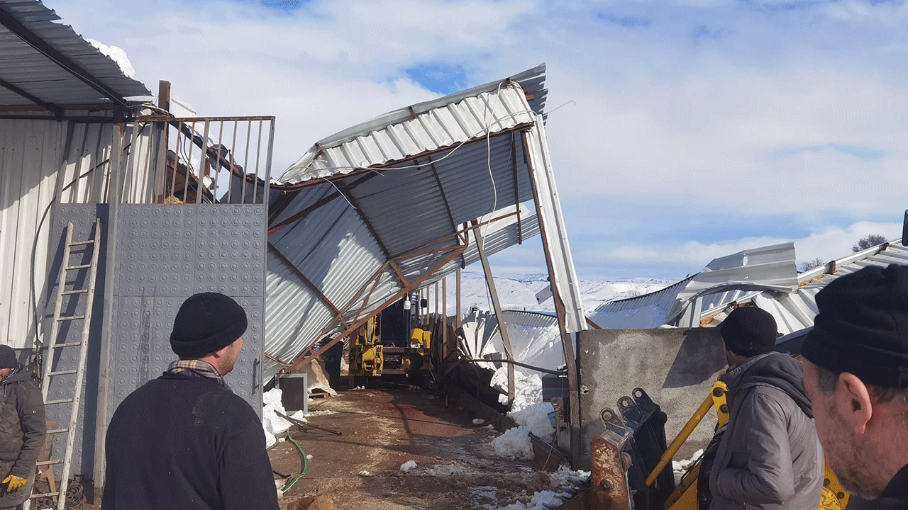 Adıyaman’da çiftlik çöktü, 22 büyükbaş hayvan telef oldu