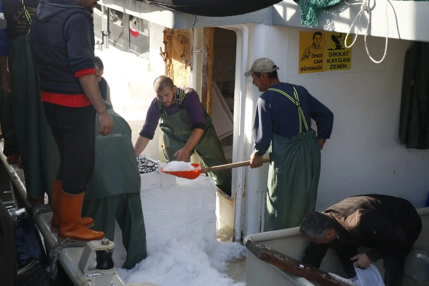 Zonguldak’ta hamsi bereketi