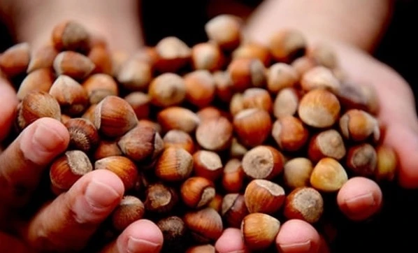 Binlerce üreticiye destekleme müjdesi!