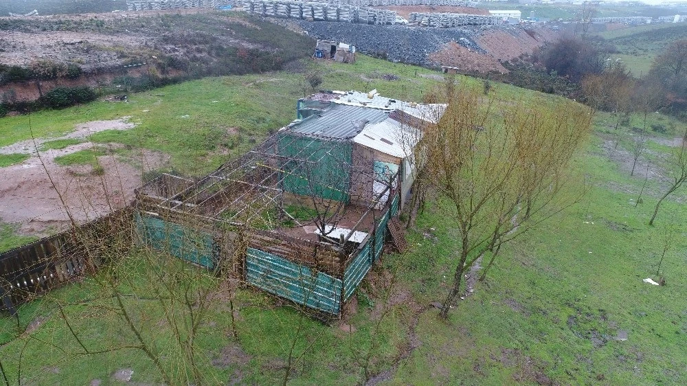 İstanbul'da dehşet çiftliği