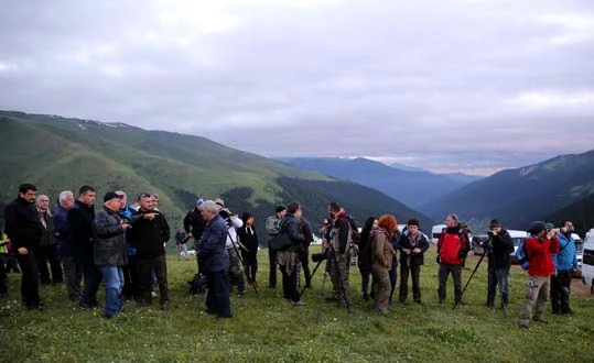Bu yaz görülememişti, sonbaharda ortaya çıktı