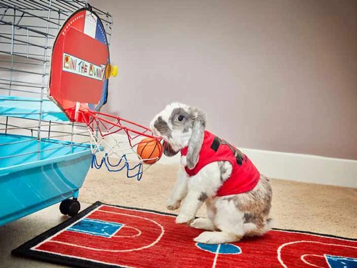 Guinness Rekorlar Kitabındaki En İlginç Guinness Rekorları