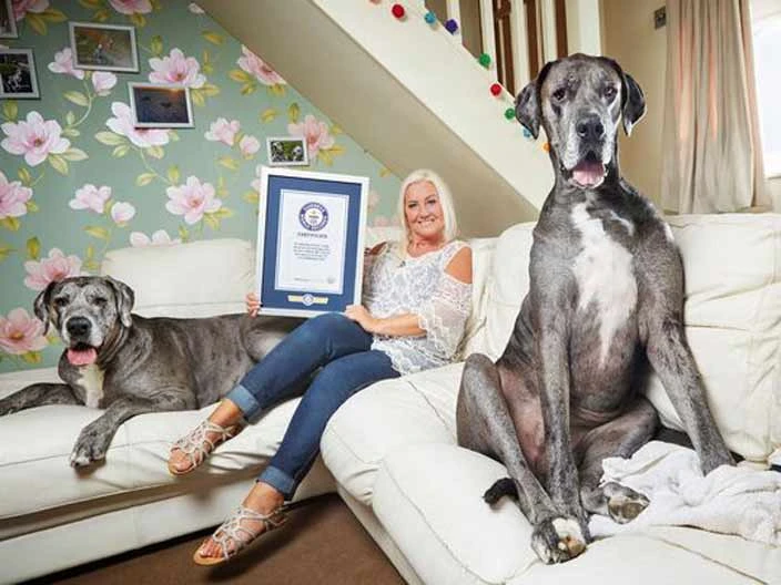 Guinness Rekorlar Kitabındaki En İlginç Guinness Rekorları