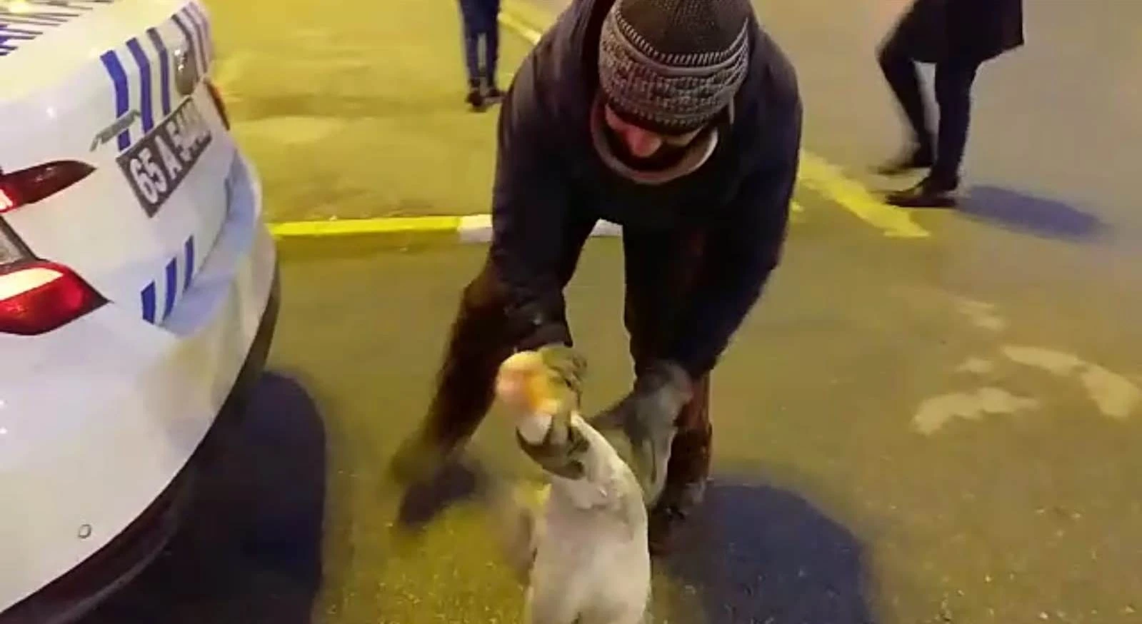 Sahibinin elinden kaçan kaz, trafiği birbirine kattı