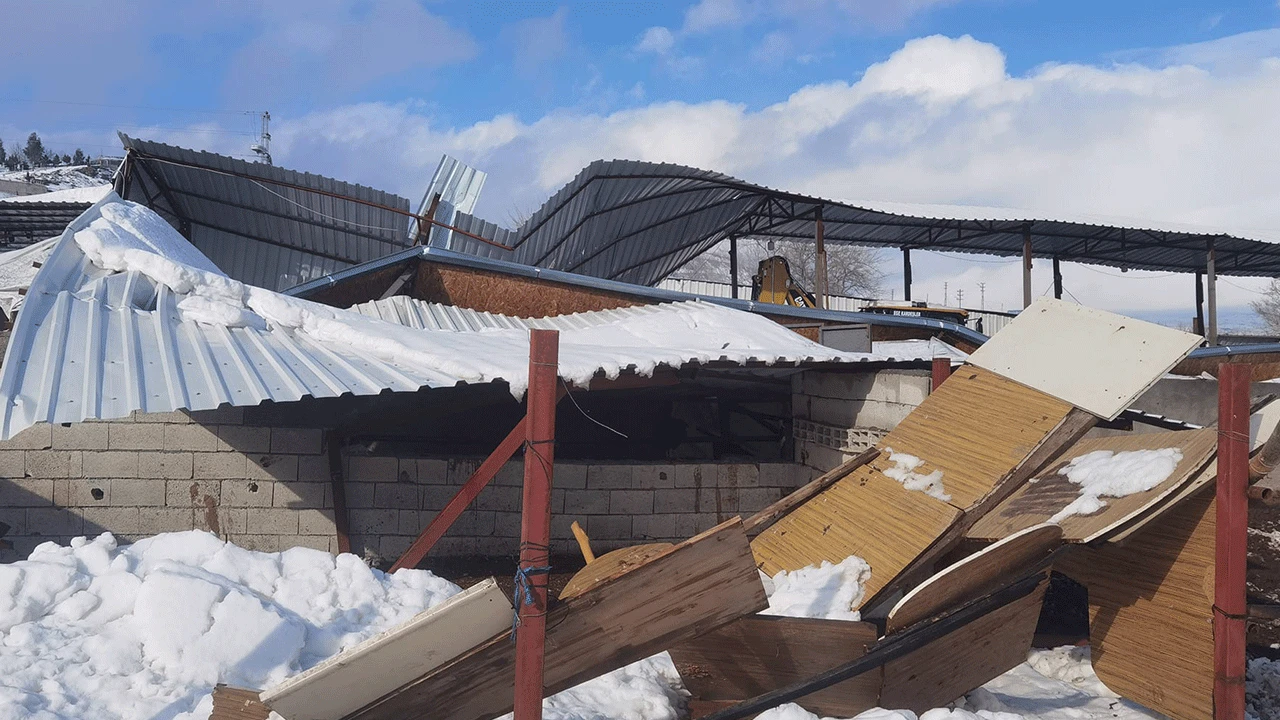 Adıyaman’da çiftlik çöktü, 22 büyükbaş hayvan telef oldu