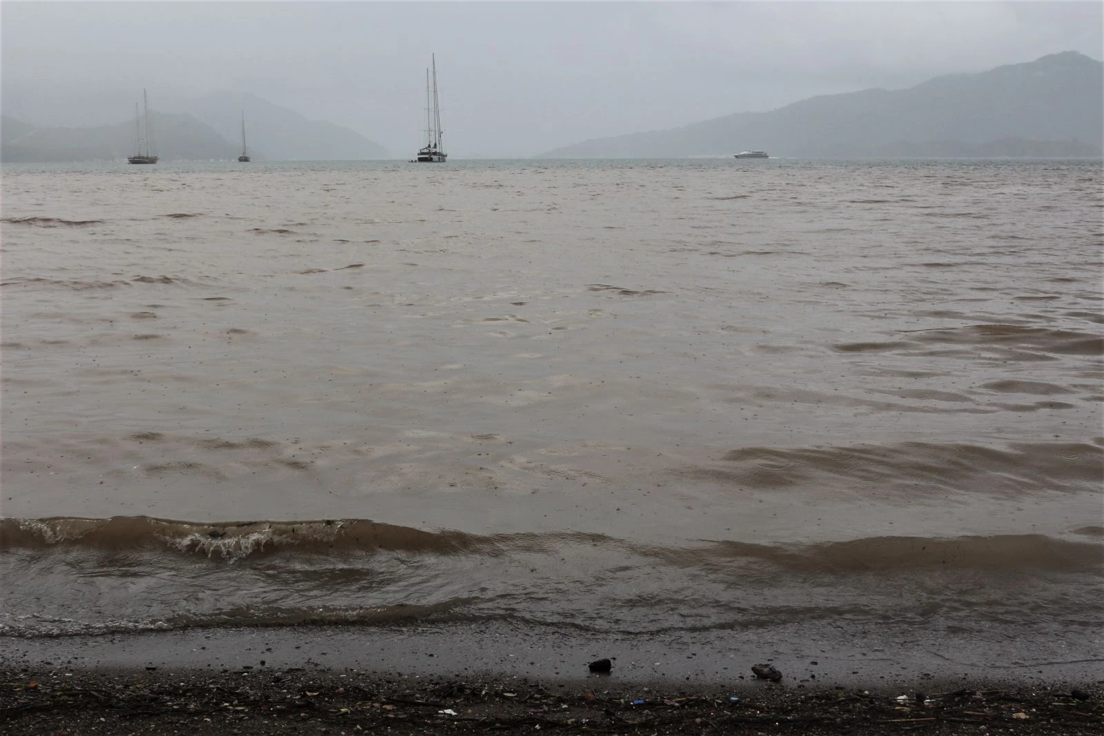 Sahile gidenler şaşkına döndü