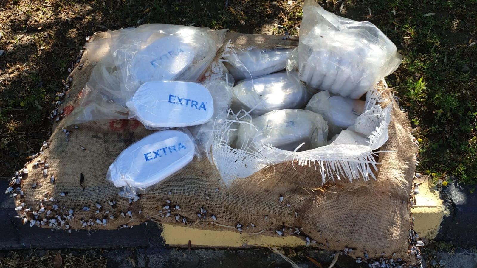 Alanya’da sahile bir çuval uyuşturucu vurdu