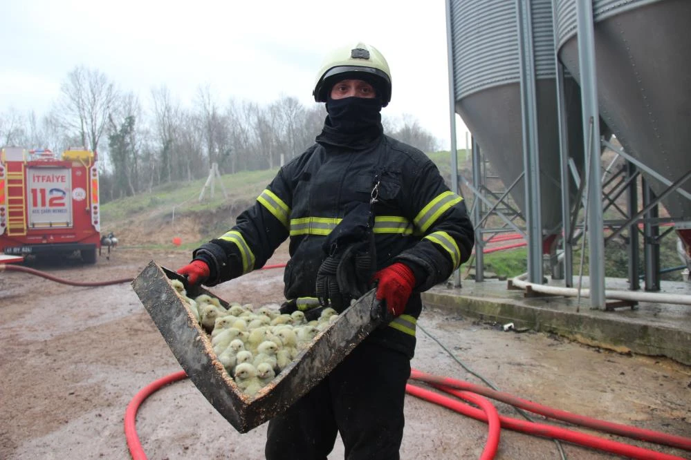 Civcivlerin bulunduğu çiftlikteki yangında duygusal görüntüler
