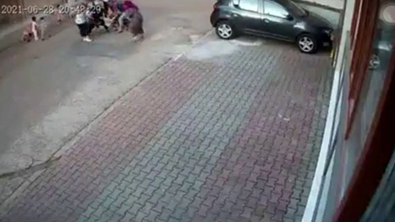 Pitbull saldırısı: 9 yaşındaki çocuğa 30 dikiş atıldı