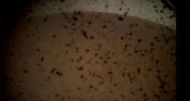 NASA'nın Mars'a gönderdiği InSight iniş yaptı