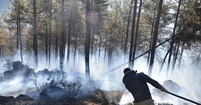 Adana'da orman yangını: Kozan'da kızılçam ormanı alevlere teslim