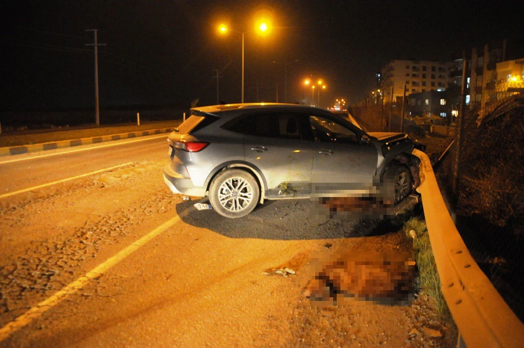 Yola çıkan koyunlar zincirleme kazaya neden oldu
