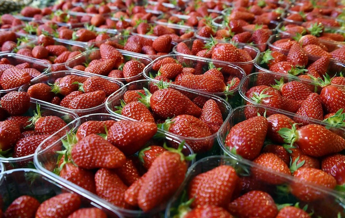 Türkiye'de yetiştiriliyor! 3 ülkeden talep yağıyor