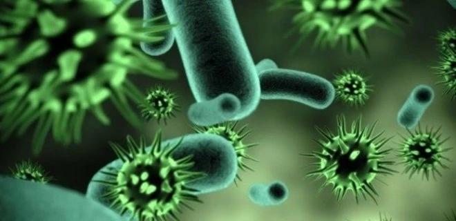 Amipli Dizanteri Nedir? Amipli Dizanteri İshal Kaç Gün Sürer?