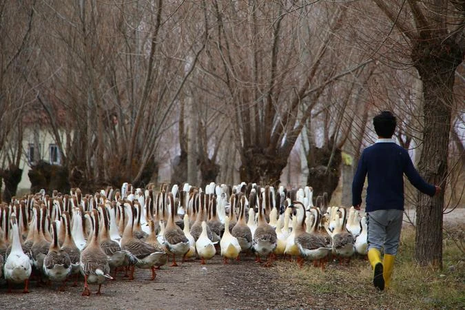 2 yıl önce kurdu! İlçeye umut oldu