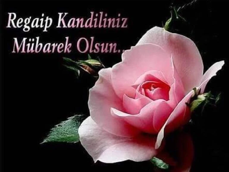 En güzel Regaib Kandili Mesajları, Resimli Regaib Kandili Mesajları, WHATSAPP, INSTAGRAM Paylaşımları