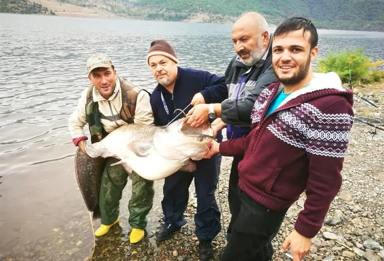 Dev yayın balığı