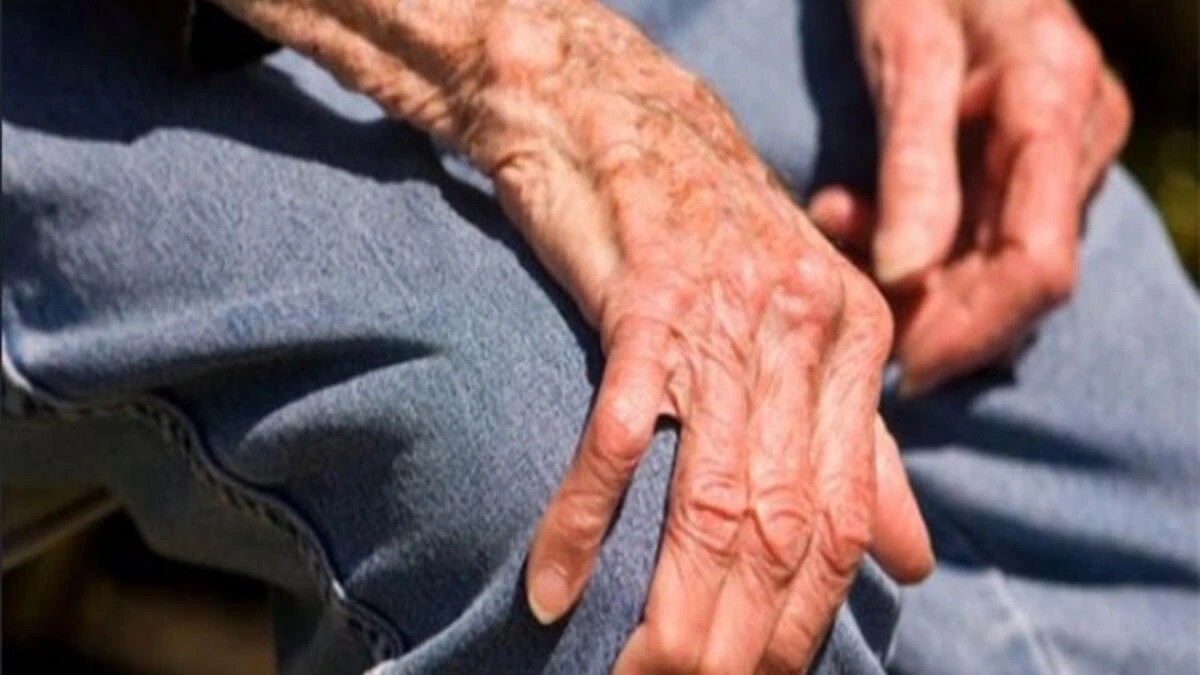 Kemik Erimesini Durduran Besinler Kemik İncelmesine Ne İyi Gelir?