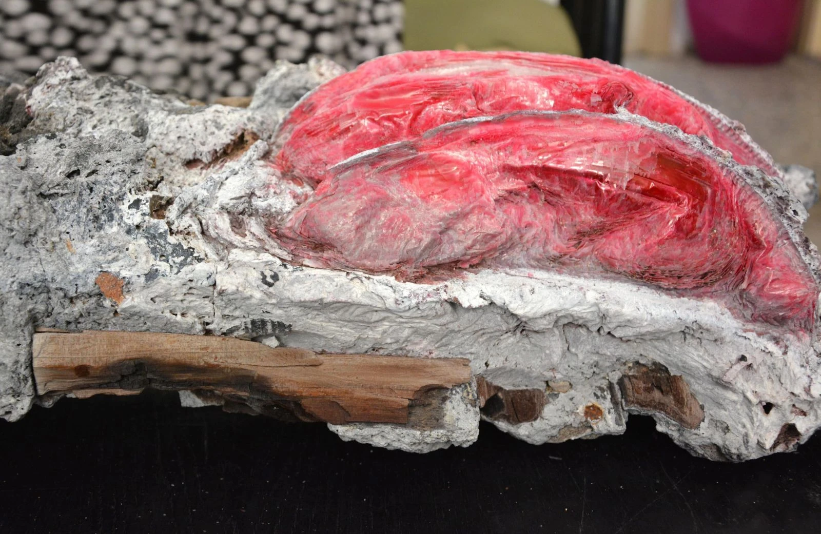 Muğla'dan bu kez 'fosil' çıkardı