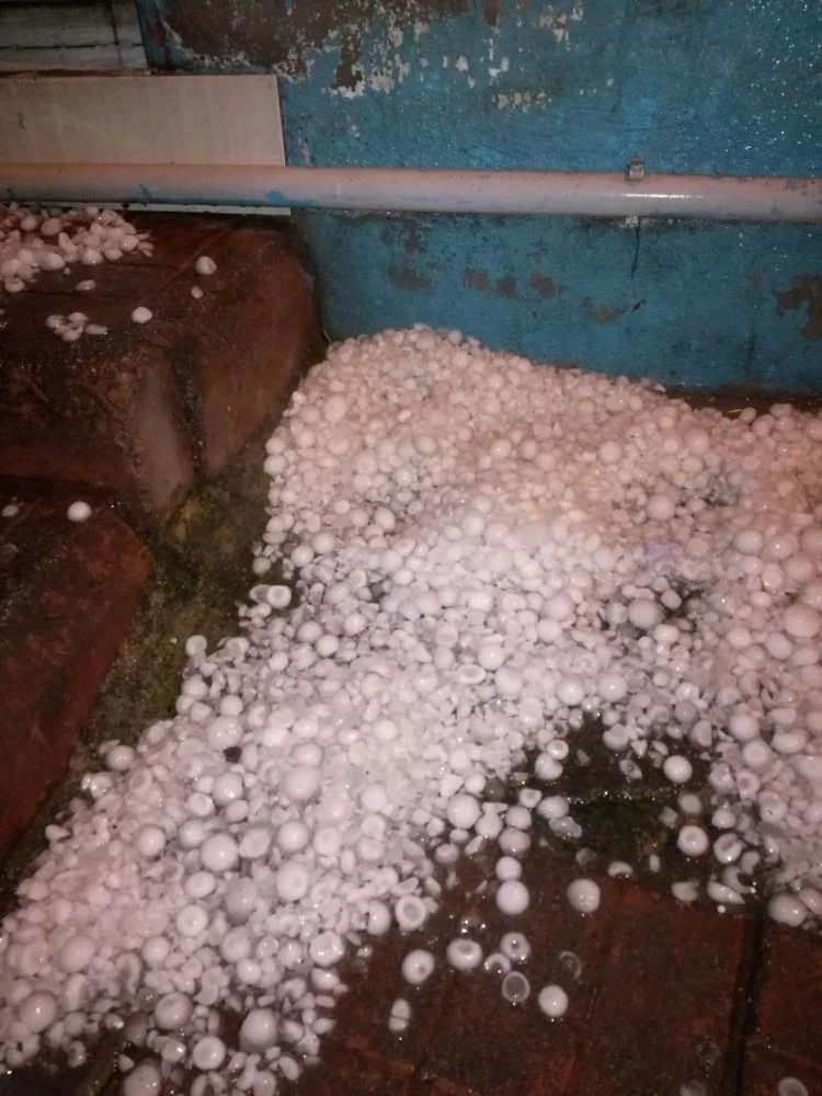 Kocaali'de dolu yağışı