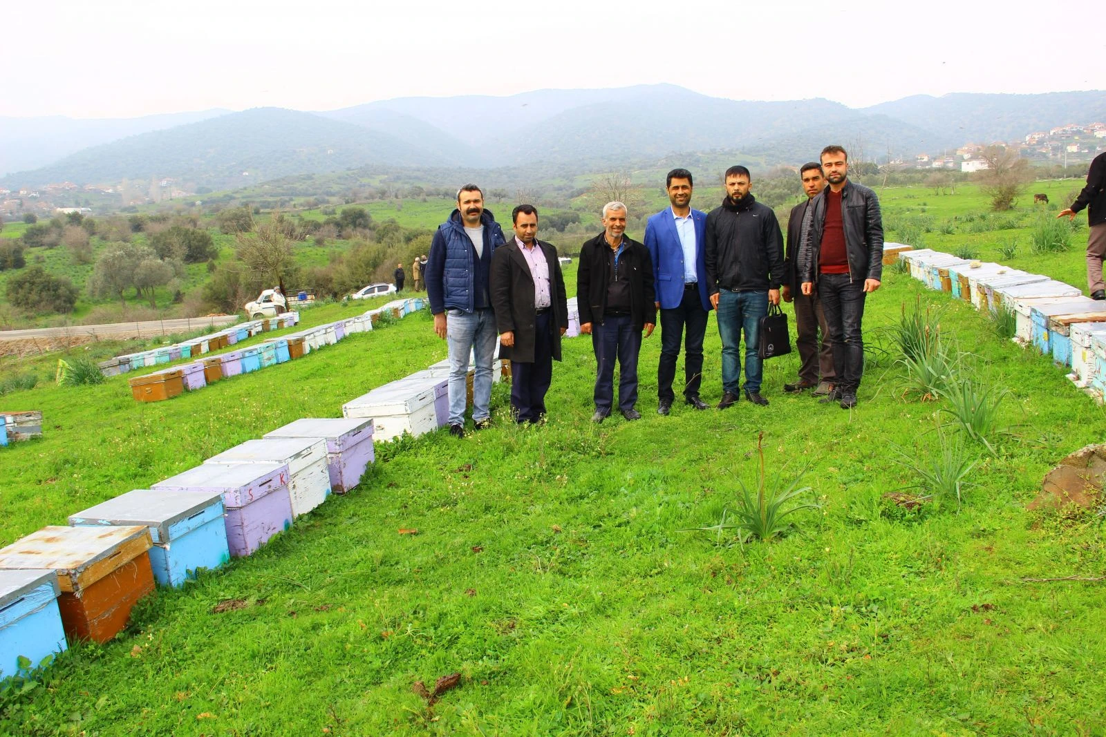 Çiftçilerin duyarsızlığı milyonlarca arıyı telef etti