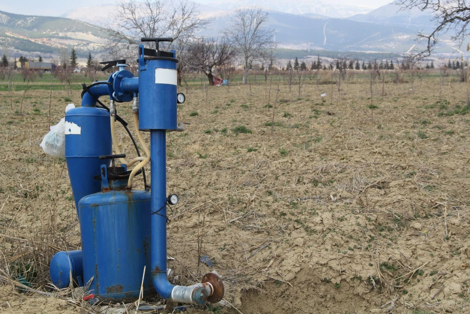 Hünnap yemeyi değil, hünnap yetiştirmeyi öğrettiler