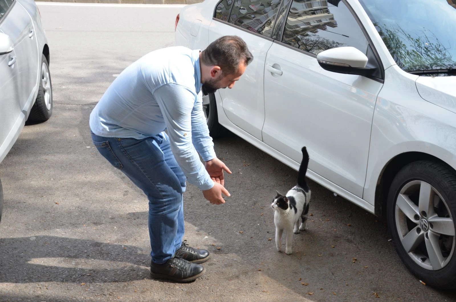 Patisiyle kapıyı açan kedi fenomen oldu