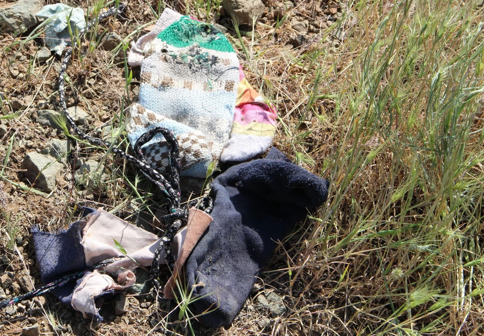 Elazığ'da dehşet! Köpeklerin saldırdığı kadın hayatını kaybetti!