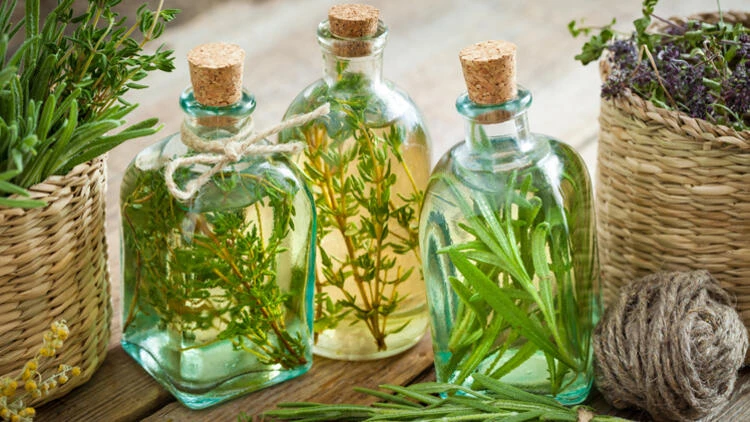 Kekiğin Nelere Faydası Var? Kuru Kekik Otunun Faydaları Nelerdir?