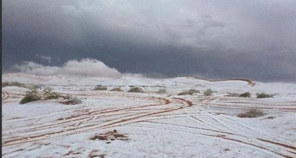Suudi Arabistan'da çöle aniden kar yağdı