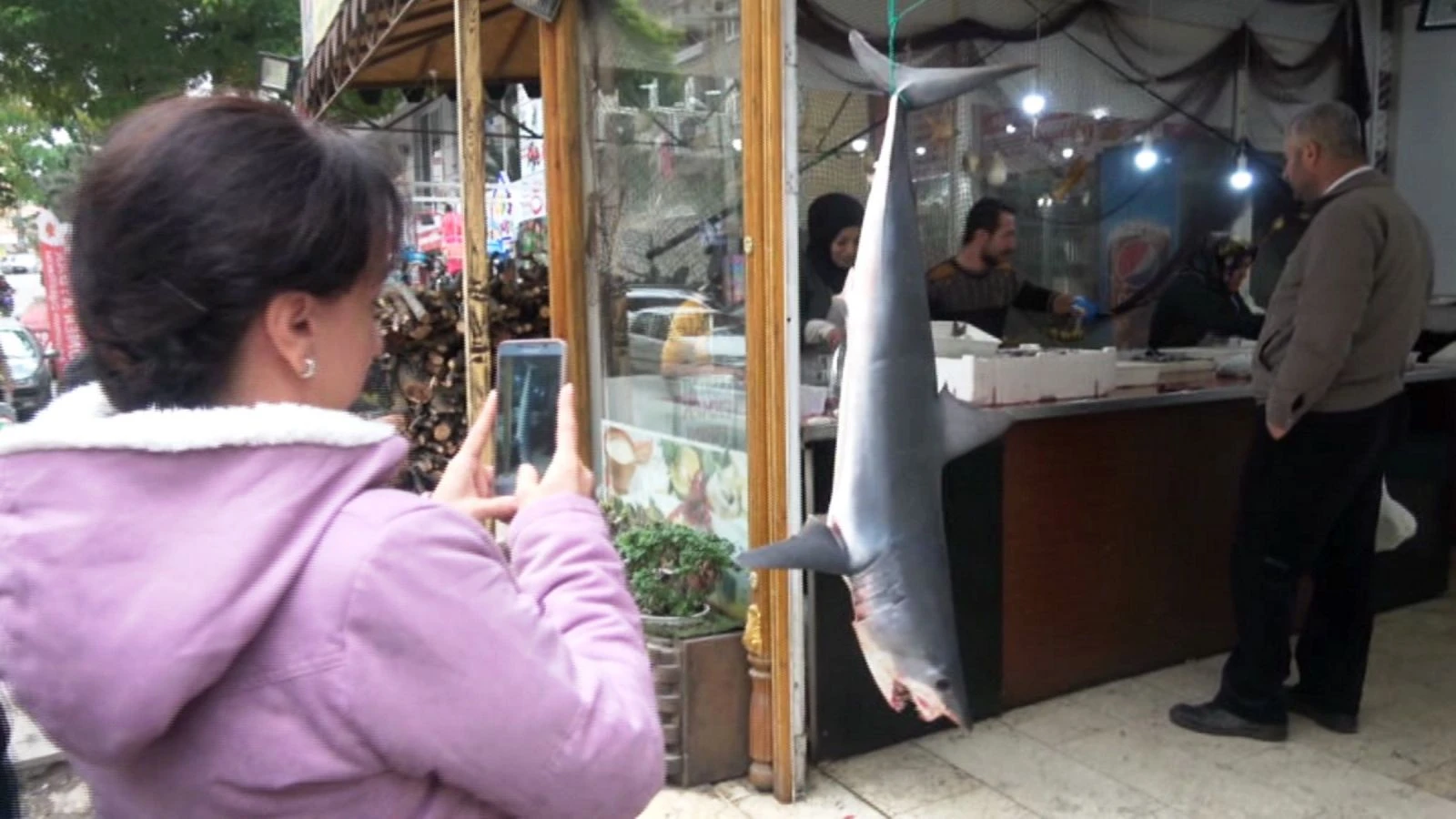 Mardin’de 85 kiloluk köpek balığına yoğun ilgi