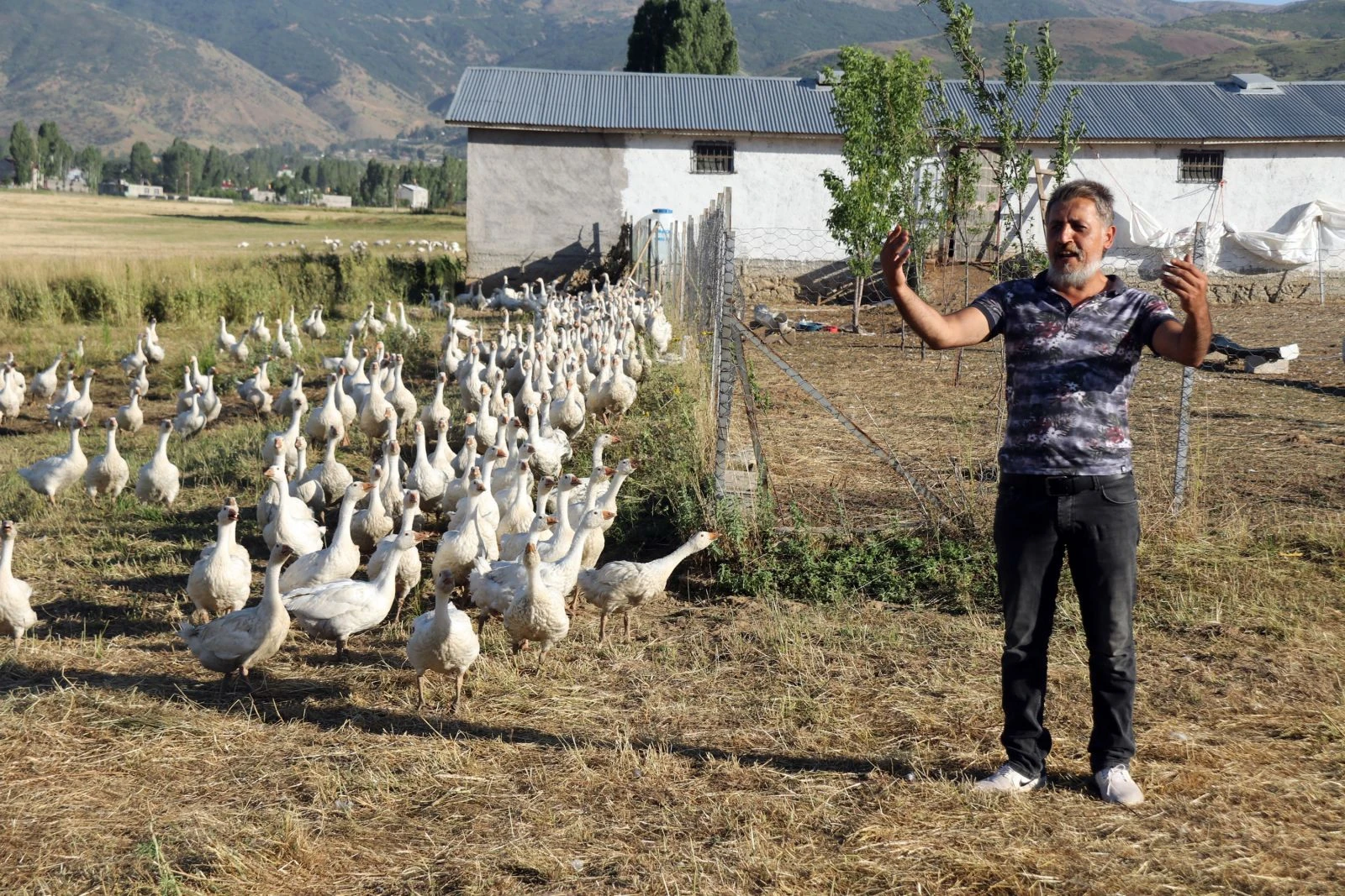 14 kazla başladı, şimdi binlercesini yetiştiriyor
