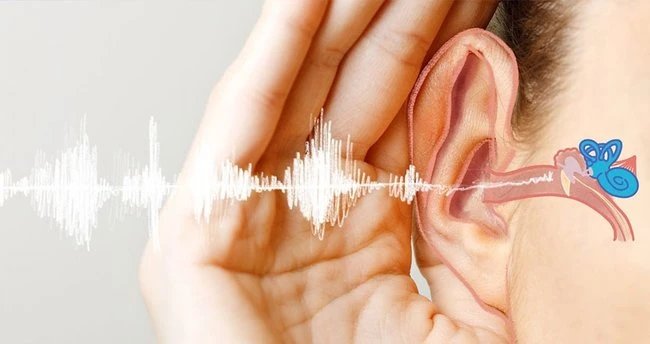 Ani İşitme Kaybı Nedir? Ani İşitme Kaybı Kendiliğinden Düzelir mi?