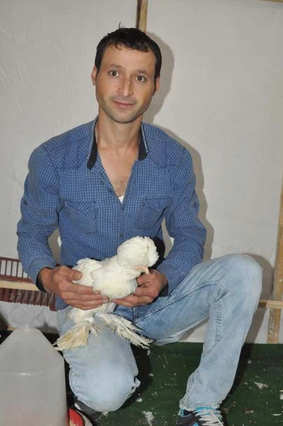 Saray Tavuğu altın yumurtluyor