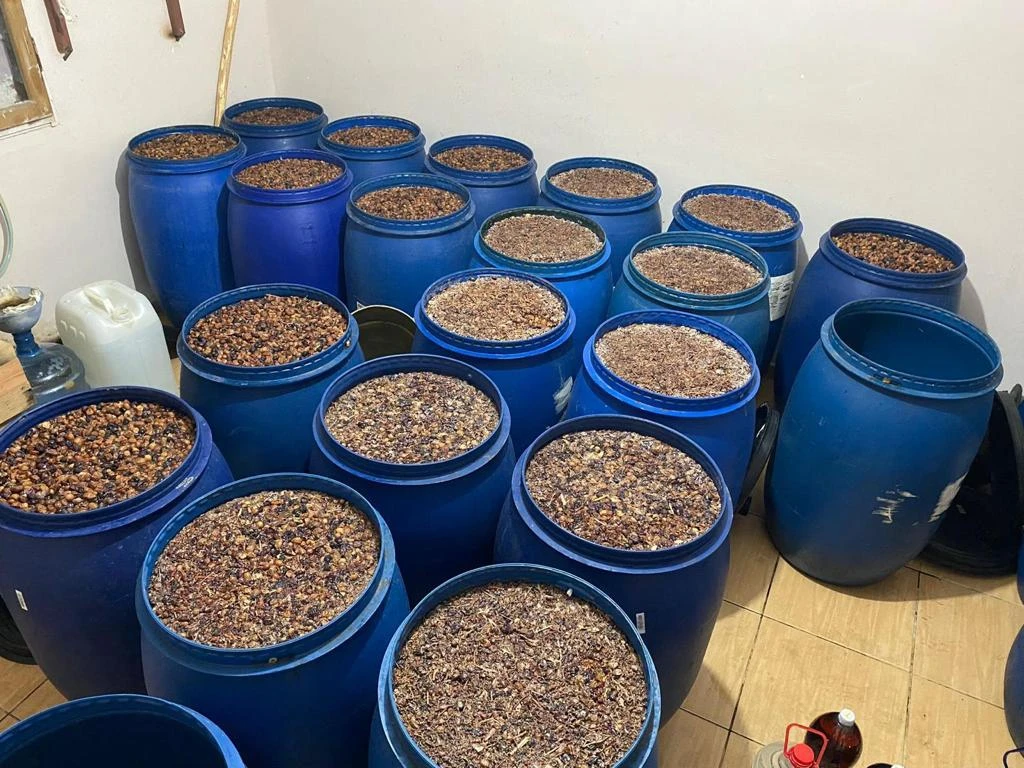 Son dakika: 81 ilde 'Zehir-2' operasyonu: 100'den şüpheli gözaltında