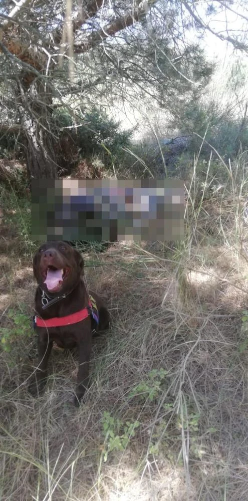 "Beni beklemeyin" dedi, mezarlıkta cansız bedeni bulundu