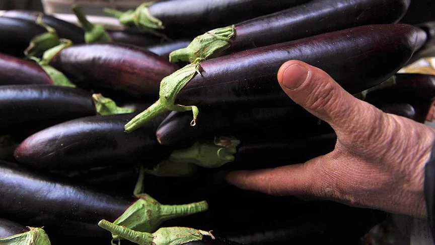 Fırtına seraları vurdu, patlıcanın kilosu 20 lirayı geçti