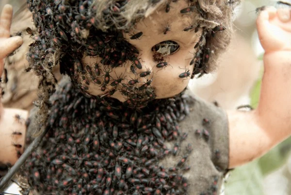 İşte dünyanın en korkunç 10 yeri