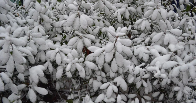 Kar; kazaları da beraberinde getirdi