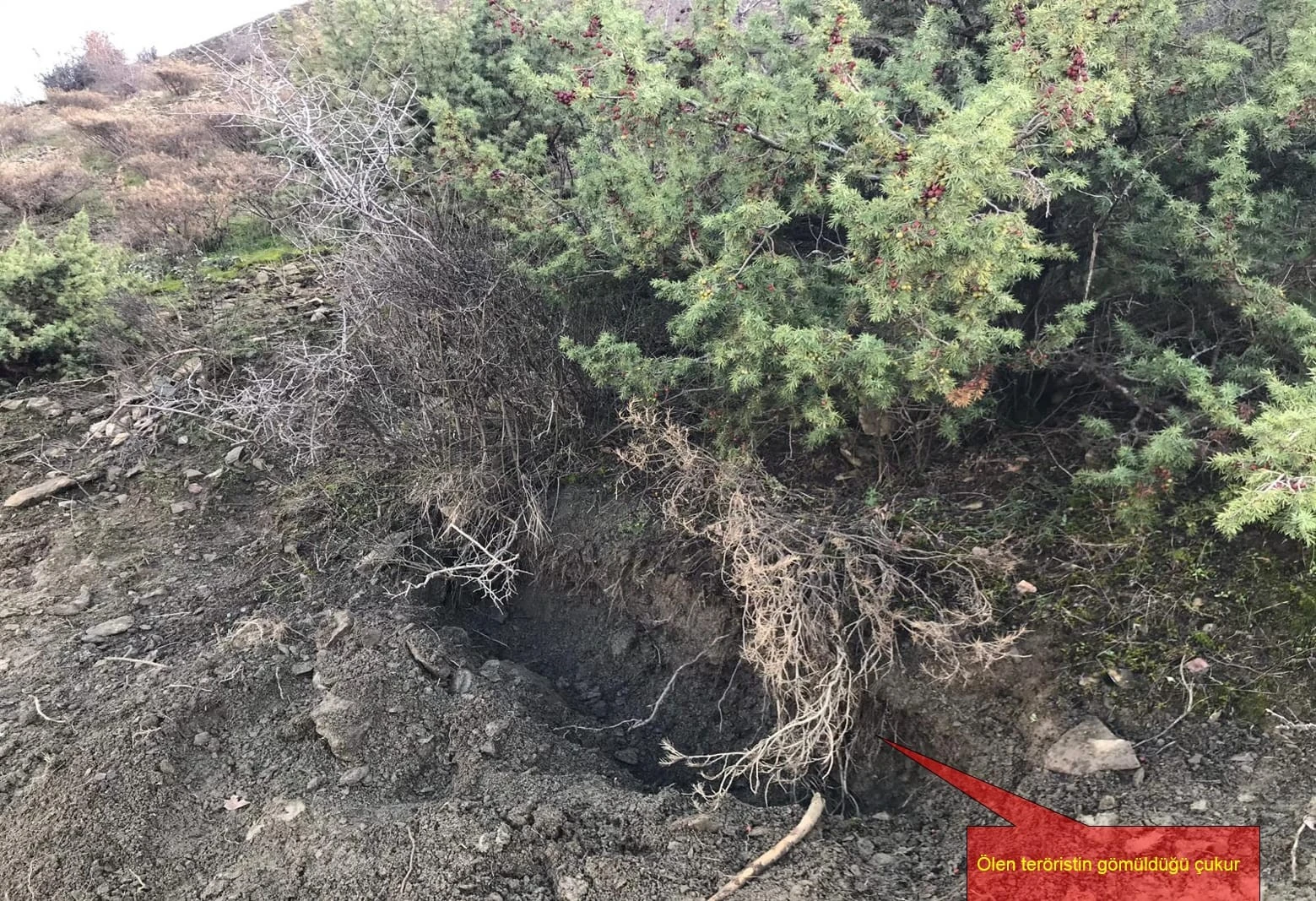 Diyarbakır'da terör operasyonu