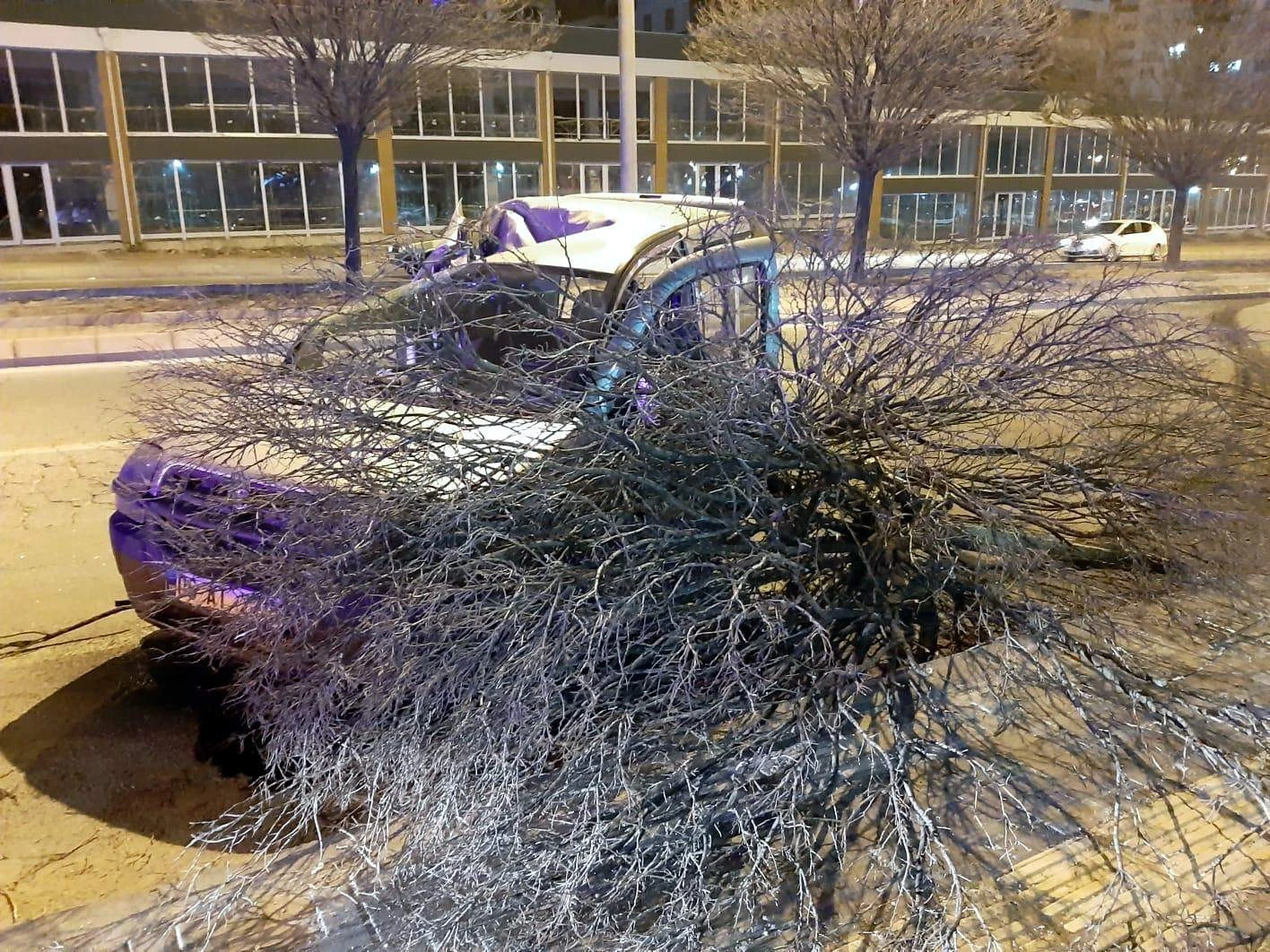 Kamyonet ağaca çarptı: 2 yaralı