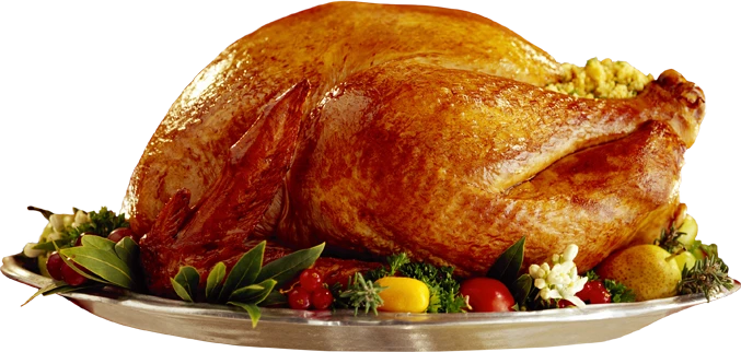 Evde Fırında Hindi Nasıl Pişirilir? Fırında Hindi Tarifi