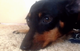 10 maddede diyet yapmanın zorlukları