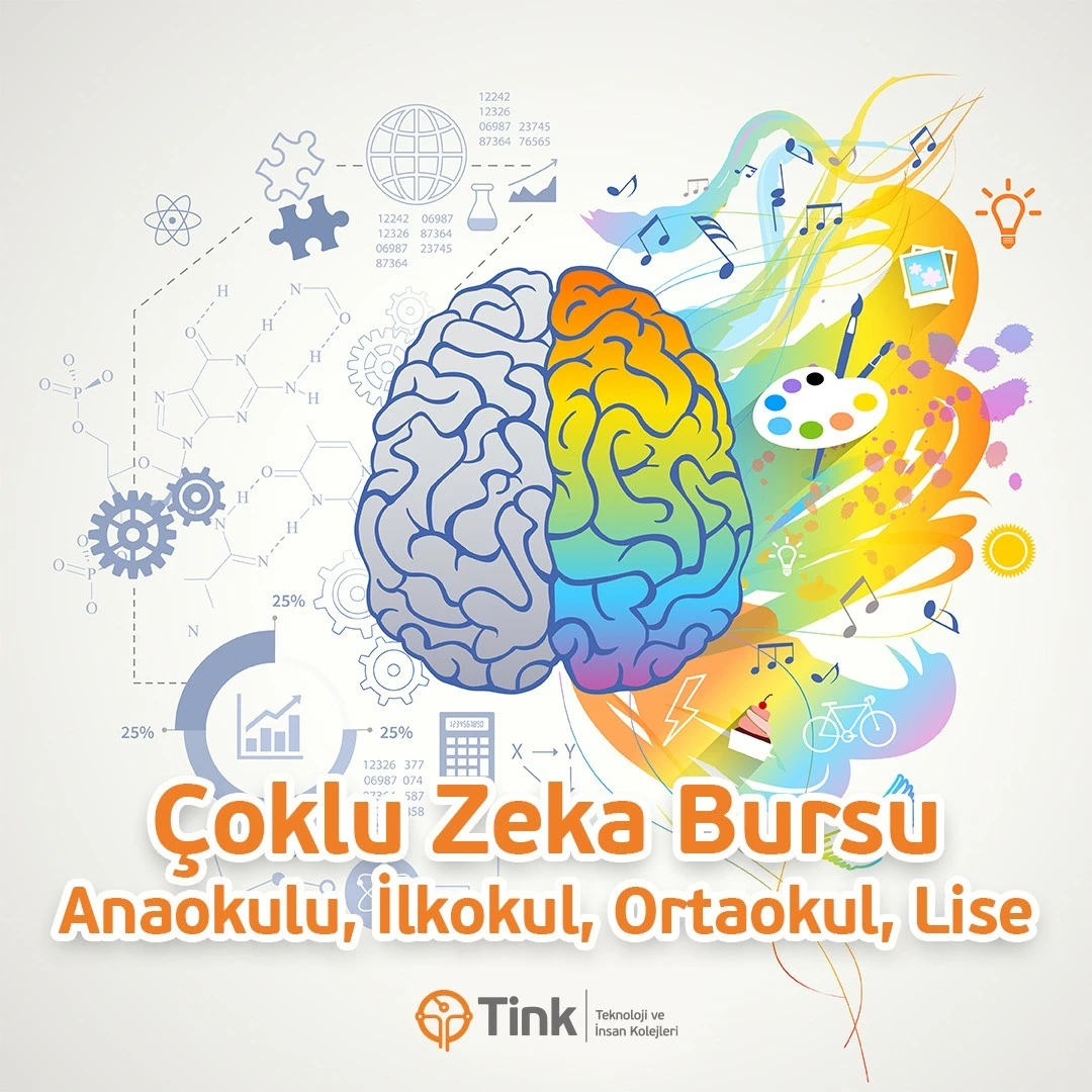 Tink, Teknoloji ve İnsan Kolejleri'nden ‘Çoklu Zeka Bursu'