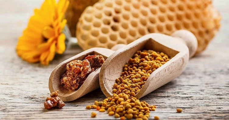 Propolis Nedir? Nasıl Kullanılır? Faydaları nelerdir?
