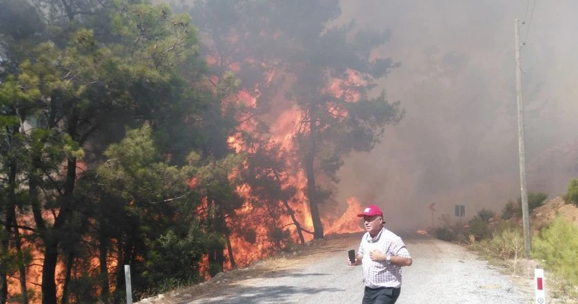 Muğla'da çıkan yangın rüzgarın etkisiyle büyüyor