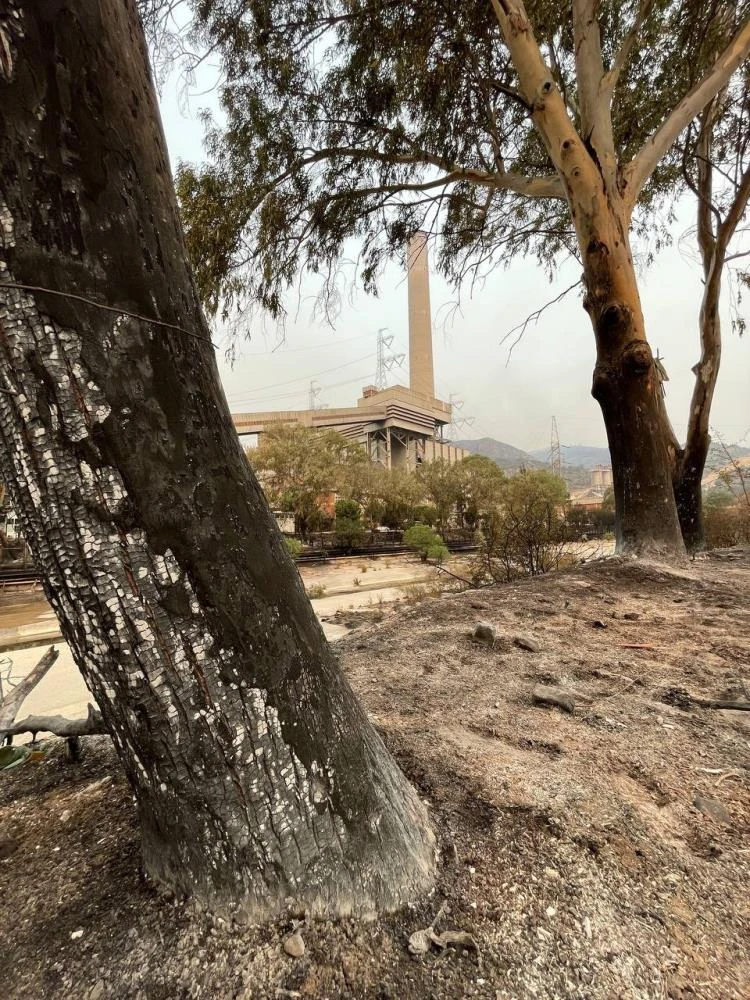 Yangın bölgelerinde son durum: Muğla, Antalya, Aydın, Isparta ve Denizli'de 12 farklı nokta