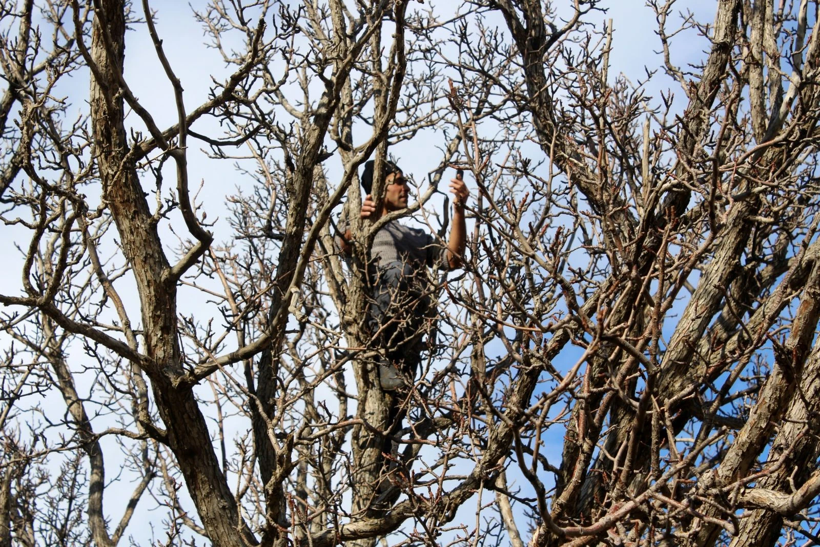Telefonla konuşmak için buz gibi havada çatılara ve ağaçlara çıkıyorlar